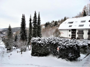 Ferienwohnung Bergblick